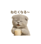 ネコしてます:おいしいやつ（個別スタンプ：13）
