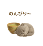 ネコしてます:おいしいやつ（個別スタンプ：22）