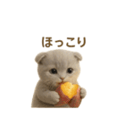 ネコしてます:おいしいやつ（個別スタンプ：35）