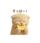 ネコしてます:おいしいやつ（個別スタンプ：37）