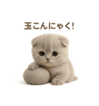 ネコしてます:おでん好き集まれ！（個別スタンプ：6）