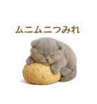 ネコしてます:おでん好き集まれ！（個別スタンプ：22）