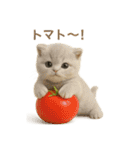 ネコしてます:おでん好き集まれ！（個別スタンプ：32）