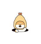 動く！しばてん！（個別スタンプ：3）