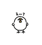 ○まるめのとりさん5○（個別スタンプ：11）