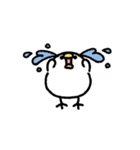 ○まるめのとりさん5○（個別スタンプ：20）
