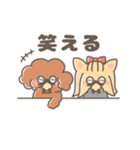 動く！♡お寿司大好き♡トイプーとヨーキー（個別スタンプ：11）
