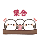 飛び出す♪ころっとシマエナガ（個別スタンプ：15）