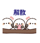 飛び出す♪ころっとシマエナガ（個別スタンプ：16）