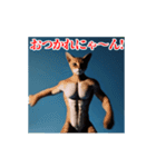 激しく動く！うざいねこ！（個別スタンプ：7）