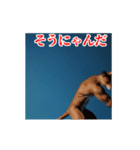 激しく動く！うざいねこ！（個別スタンプ：14）