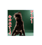 激しく動く！うざいねこ！（個別スタンプ：18）
