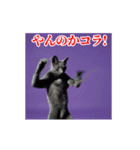 激しく動く！うざいねこ！（個別スタンプ：19）