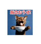 激しく動く！うざいねこ！（個別スタンプ：20）