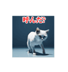 激しく動く！うざいねこ！（個別スタンプ：21）
