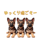 ジャーマンシェパードベビーの日常（個別スタンプ：1）