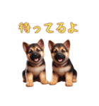 ジャーマンシェパードベビーの日常（個別スタンプ：3）