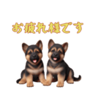 ジャーマンシェパードベビーの日常（個別スタンプ：4）