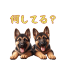 ジャーマンシェパードベビーの日常（個別スタンプ：5）