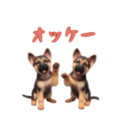 ジャーマンシェパードベビーの日常（個別スタンプ：9）
