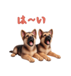 ジャーマンシェパードベビーの日常（個別スタンプ：10）
