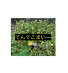 頭の中までFlower（個別スタンプ：2）