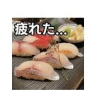 秋の鯛握り寿司（個別スタンプ：31）