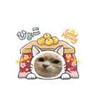 タロちゃんお正月スタンプ（個別スタンプ：2）
