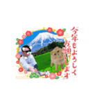 タロちゃんお正月スタンプ（個別スタンプ：8）