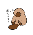 いやしの日常 カモノハシ編（個別スタンプ：7）