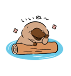いやしの日常 カモノハシ編（個別スタンプ：12）