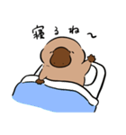 いやしの日常 カモノハシ編（個別スタンプ：24）