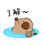 いやしの日常 カモノハシ編（個別スタンプ：39）