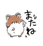 いやしの日常 ハムスター編（個別スタンプ：1）