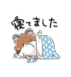 いやしの日常 ハムスター編（個別スタンプ：3）