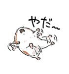 いやしの日常 ハムスター編（個別スタンプ：9）