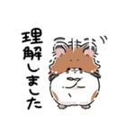 いやしの日常 ハムスター編（個別スタンプ：19）