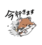 いやしの日常 ハムスター編（個別スタンプ：29）