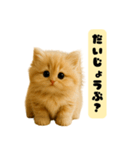 ちびもふデイズ こねこのジンジャー（個別スタンプ：1）