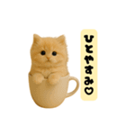 ちびもふデイズ こねこのジンジャー（個別スタンプ：2）