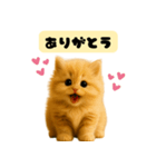 ちびもふデイズ こねこのジンジャー（個別スタンプ：5）