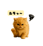 ちびもふデイズ こねこのジンジャー（個別スタンプ：6）