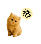 ちびもふデイズ こねこのジンジャー（個別スタンプ：14）