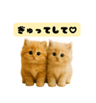 ちびもふデイズ こねこのジンジャー（個別スタンプ：16）
