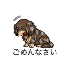 名前入りダックスロングチョコダップル（個別スタンプ：2）