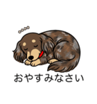 名前入りダックスロングチョコダップル（個別スタンプ：9）