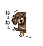 名前入りダックスロングチョコダップル（個別スタンプ：12）