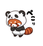 パンダになりたいレッサーパンダ（個別スタンプ：1）
