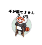 パンダになりたいレッサーパンダ（個別スタンプ：8）