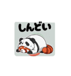 パンダになりたいレッサーパンダ（個別スタンプ：12）